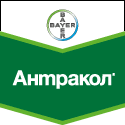 фунгициды Антракол