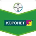 фунгициды коронет