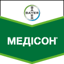 Медисон