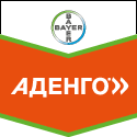 Аденго Bayer