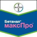 гербициды Бетанал МаксПро